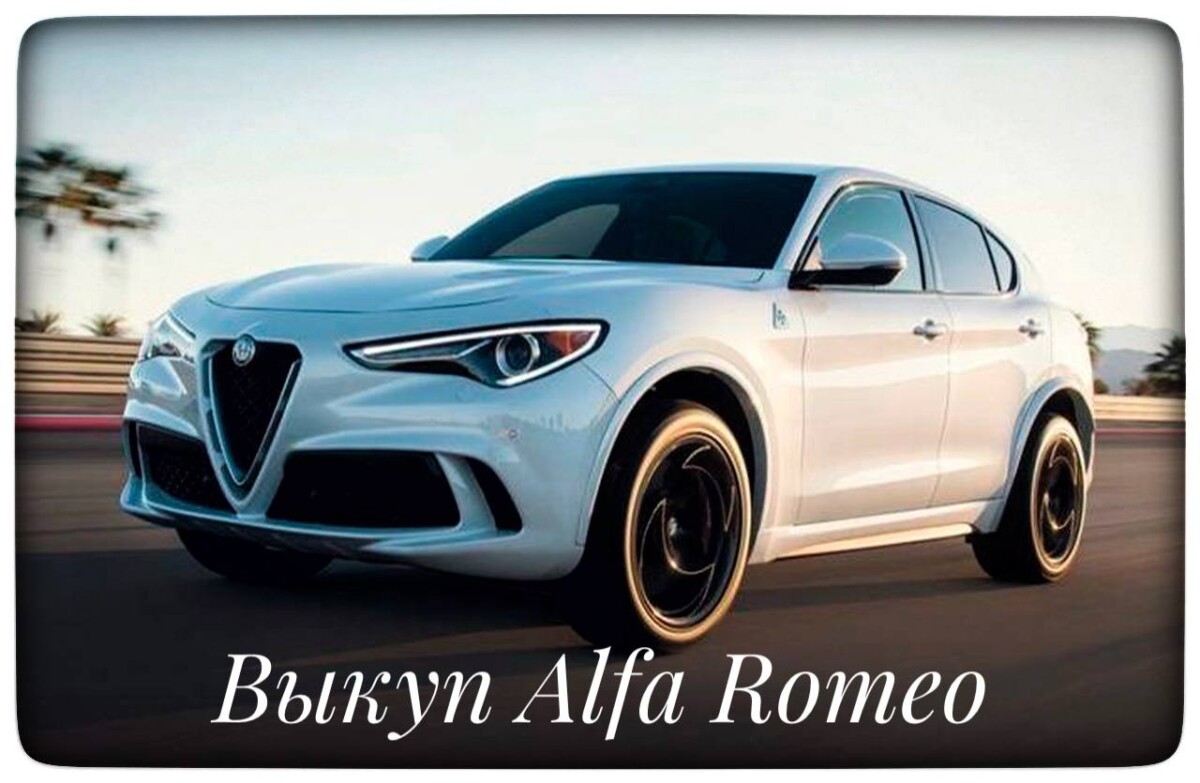 выкуп Альфа Ромео / выкуп Alfa Romeo 